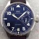 IWC Schaffhausen Black Face 7 Days Replica Watch (9)_th.jpg